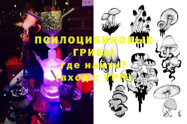 PSILOCYBIN Алексеевка