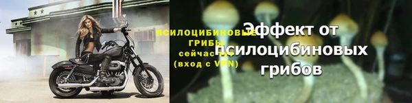 PSILOCYBIN Алексеевка