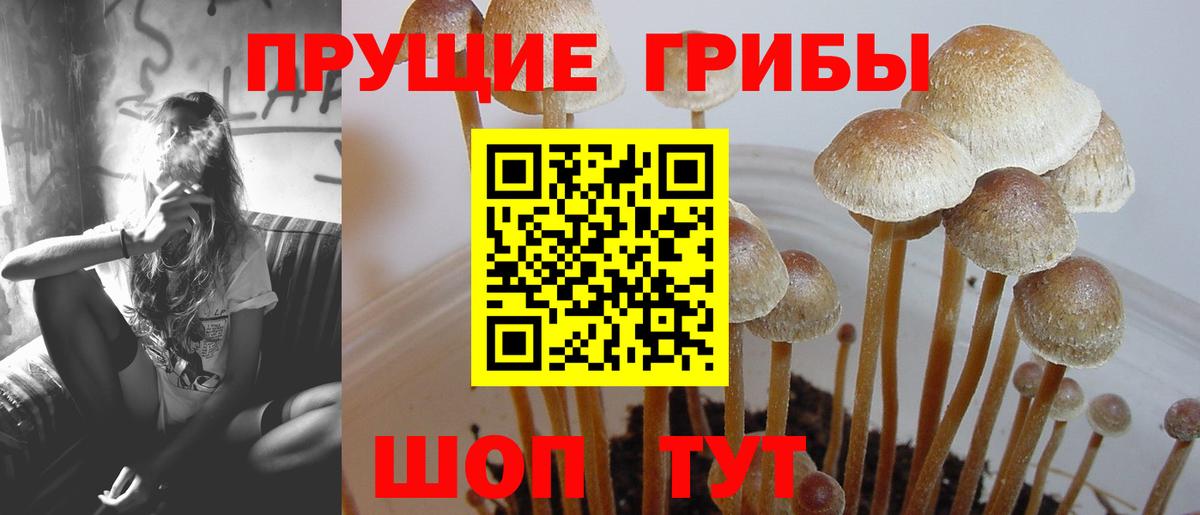 Галлюциногенные грибы ЛСД  Галлюциногенные грибы MAGIC MUSHROOMS  Клин  Вход с VPN 