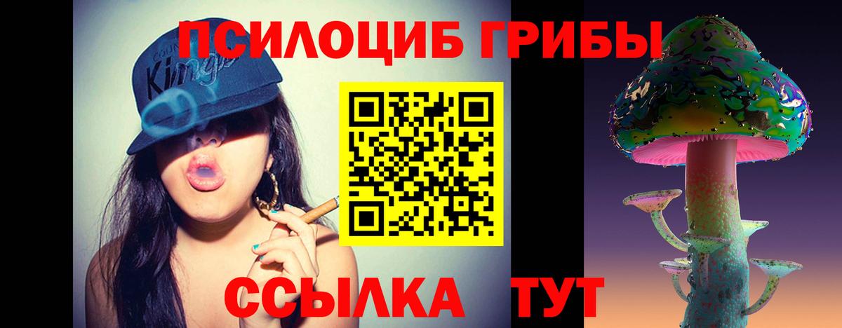 Псилоцибиновые грибы Magic Shrooms Клин